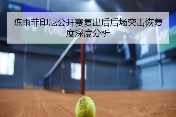 陈雨菲印尼公开赛复出后后场突击恢复度深度分析